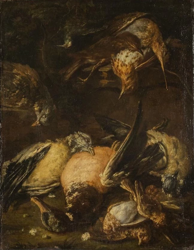 Cacciagione